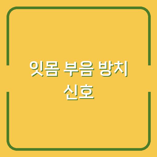 잇몸이 부었을 때, 방치하면 안 되는 3가지 신호와 빠른 대처법