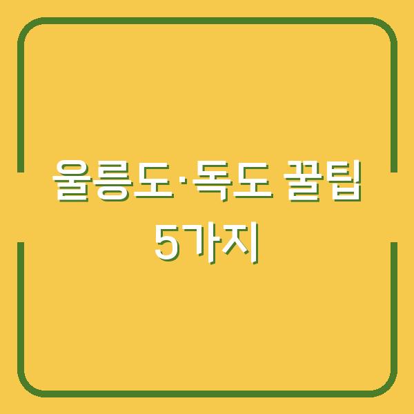 울릉도·독도 2박3일 실제 다녀온 사람만 아는 꿀팁 5가지