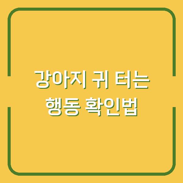 강아지 귀 터는 행동 병원 가기 전에 확인해야 할 3가지