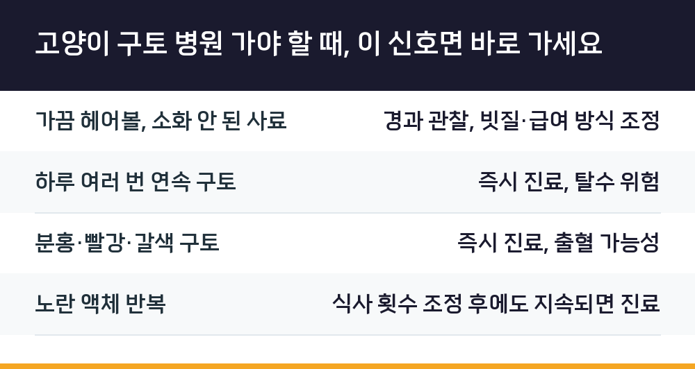 고양이 구토 병원 가야 할 때, 이 신호면 바로 가세요