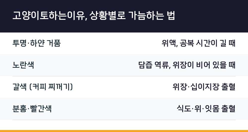 고양이토하는이유, 상황별로 가늠하는 법