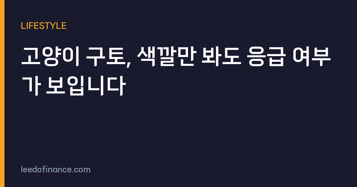 고양이 구토, 색깔만 봐도 응급 여부가 보입니다