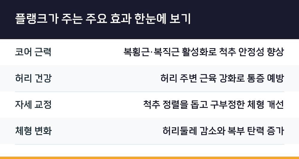 플랭크가 주는 주요 효과 한눈에 보기